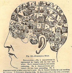 Phrenology Phrenology